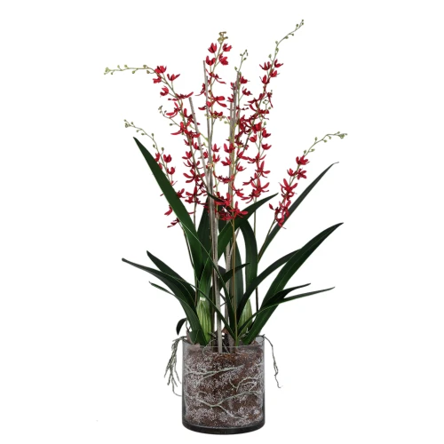 Różowa orchidea w szklanej osłonce PTMD