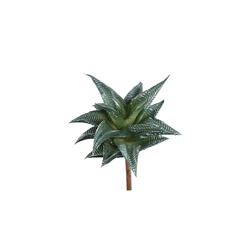 Sztuczny sukulent PTMD