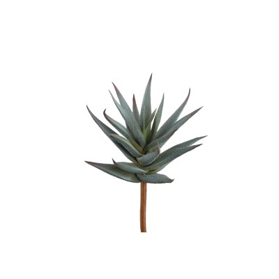 Sztuczny aloes PTMD