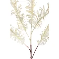 Kremowe liście paproci PTMD