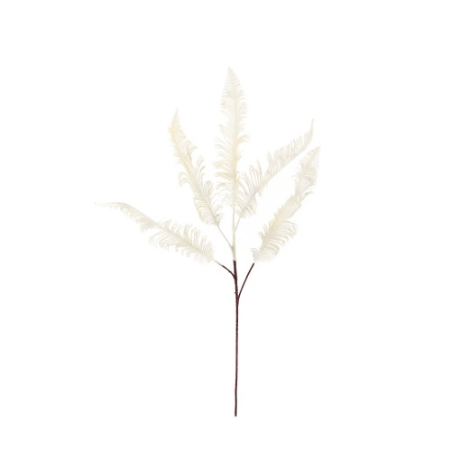 Kremowe liście paproci PTMD