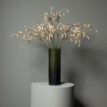 Gałązka kalanchoe PTMD