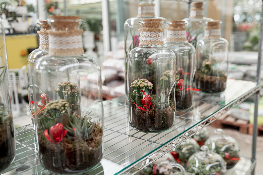 Lasy w słoiku – jak zrobić i jak o nie dbać?