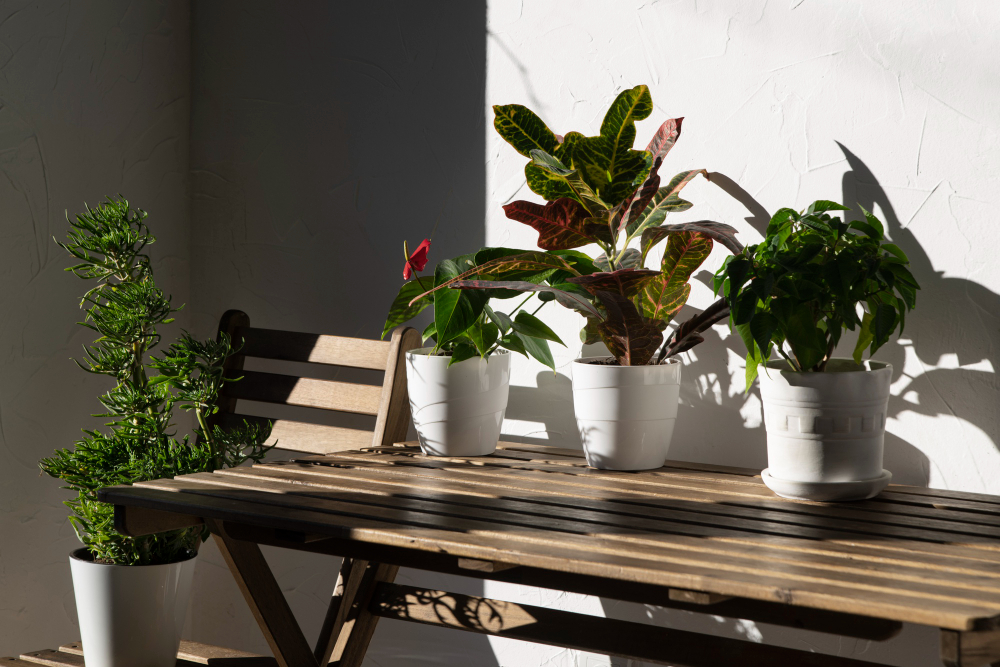 Rośliny na balkon i taras – odporne gatunki i aranżacje